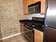 1101 South Unit 204, Oak Park, IL 60302