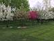 60 Rue Foret, Lake Forest, IL 60045