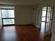 1122 N Clark Unit 3004, Chicago, IL 60610