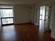 1122 N Clark Unit 3004, Chicago, IL 60610