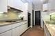 1152 N LaSalle Unit D, Chicago, IL 60610