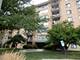 1747 W Crystal Unit 407, Mount Prospect, IL 60056