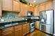 2127 W Belmont Unit 4W, Chicago, IL 60618