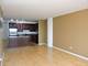 1255 S State Unit 1708, Chicago, IL 60605