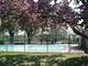 2611 E Garden Walk, Arlington Heights, IL 60004