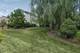 272 Bluegrass, Oswego, IL 60543