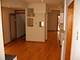 1238 W Henderson Unit CH, Chicago, IL 60657