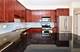 3629 S Giles Unit U1, Chicago, IL 60653