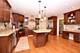 1580 Whistler, Naperville, IL 60564