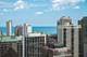 10 E Delaware Unit 30E, Chicago, IL 60611