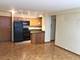 4180 N Marine Unit 704, Chicago, IL 60613