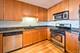 1935 S Archer Unit 318, Chicago, IL 60616