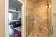 1137 W Webster Unit PH, Chicago, IL 60614