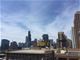 1307 S Wabash Unit 301, Chicago, IL 60605