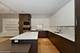 198 N Park Unit 198, Chicago, IL 60601