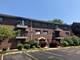 1240 S Lorraine Unit 3A, Wheaton, IL 60189