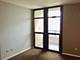 1255 S State Unit 1018, Chicago, IL 60605