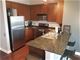 859 W Erie Unit 502, Chicago, IL 60642