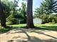 102 N Kenilworth, Mount Prospect, IL 60056