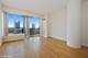 1717 S Prairie Unit 1708, Chicago, IL 60616