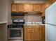 2941 S Michigan Unit 213, Chicago, IL 60616