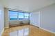 1150 N Lake Shore Unit 9C, Chicago, IL 60611