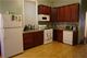 1122 W Roscoe Unit 1, Chicago, IL 60657