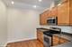 1501 S Indiana Unit L, Chicago, IL 60605