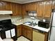 1365 Ashland Unit 407, Des Plaines, IL 60016