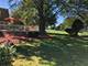 26232 Nw Lake Shore, Wauconda, IL 60084