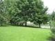 Lot 7 Weeping Beech, St. Charles, IL 60175
