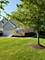 11342 Wild Berry, Mokena, IL 60448