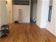 805 N Wabash Unit 2W, Chicago, IL 60611