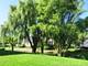 509 Bent Tree, Oswego, IL 60543