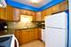 337 S Maple Unit 21, Oak Park, IL 60302