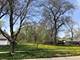 20 S Forest, Palatine, IL 60074