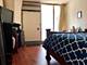 300 N State Unit 2411, Chicago, IL 60654
