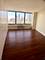 155 N Harbor Unit 4803, Chicago, IL 60601