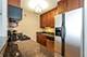 1309 N Wells Unit 1001, Chicago, IL 60610