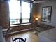 300 W Grand Unit 203, Chicago, IL 60654