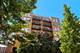 1572 N Maple Unit 603, Evanston, IL 60201