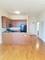 230 W Division Unit 1006, Chicago, IL 60610