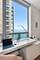 600 N Lake Shore Unit 3611, Chicago, IL 60611