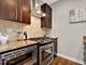 1724 W Grace Unit 1E, Chicago, IL 60613