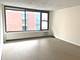 21 E Chestnut Unit 11F, Chicago, IL 60611