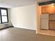 21 E Chestnut Unit 11F, Chicago, IL 60611