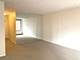 21 E Chestnut Unit 11F, Chicago, IL 60611