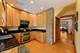 5319 N Ludlam, Chicago, IL 60630