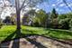 6 N Phelps, Arlington Heights, IL 60004