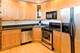 1151 W Grace Unit G, Chicago, IL 60613